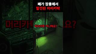 폐가 장롱에서 발견된 머리카락