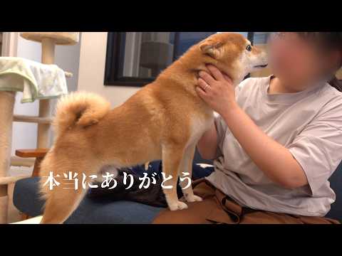 愛猫の死で涙が止まらない飼い主に柴犬と猫は優しく寄り添ってくれました。