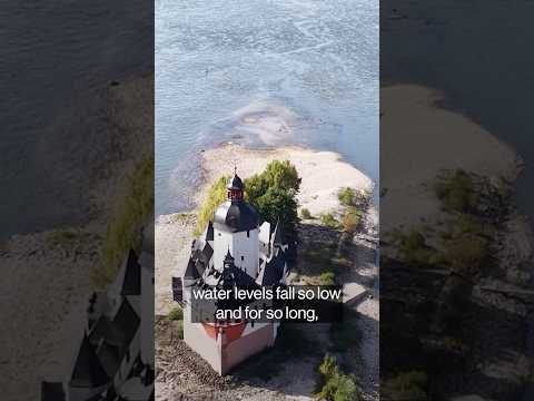 Rhine River Shipping Stalls as Water Level Hits Record Low