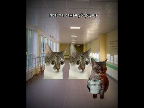 спробую новий формат) звук: @Lizketch. #рекомендации #memes #коты #україна