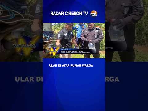 Ular di Atap Rumah Warga