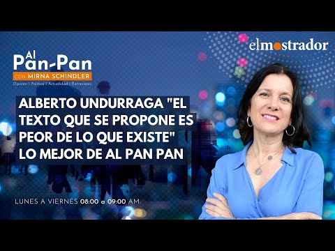 Alberto Undurraga El texto que se propone es peor de lo que existe