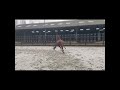 Dressuurpaard 3-jarige Giovanni