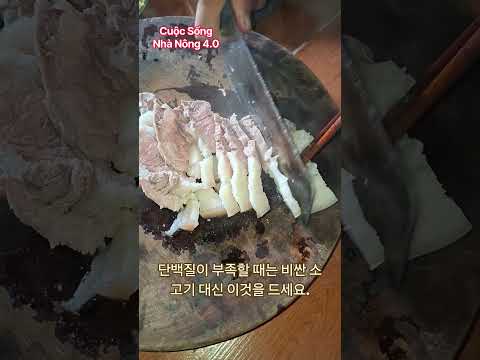 <strong>단백질이</strong> 부족할 때는 비싼 소고기 대신 이것을 드세요.