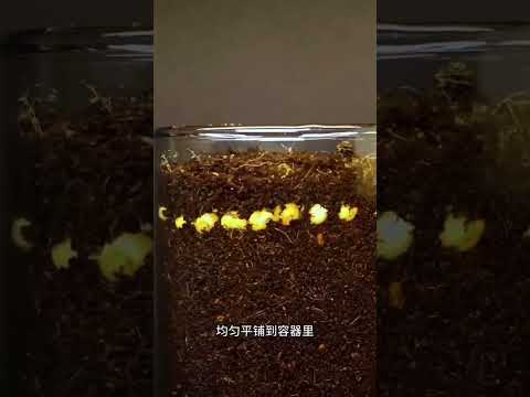 #hindisong #heenaprajapati