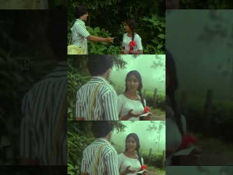 നമ്മൾ തമ്മിൽ ഒരു.. ഒരു.. ഒരു ഇത്.. നിങ്ങൾക്ക് എന്താ വേണ്ടത്..!! | Rohini | Kuyiline Thedi Movie