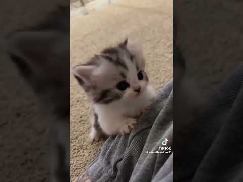 ❤️❤️❤️❤️❤️