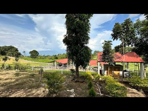 Finca en Venta Lista para la Producción y la Inversión Inteligente $50,000 Ganado y Riego Automatiz