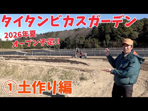 【タイタンビカス】タイタンビカスガーデン ①土作り編【赤塚植物園農場だより】