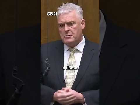 Lee Anderson has House Of Commons IN STITCHES over BIZARRE LLAMA question