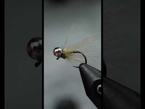 Baetis Max : This fly works year round!