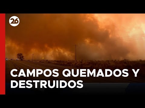 EEUU | Incendios forestales azotan a Texas