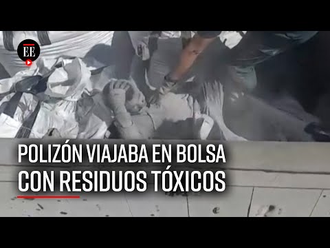 Inmigrante se escondió en un saco de desechos tóxicos para llegar a España - El Espectador
