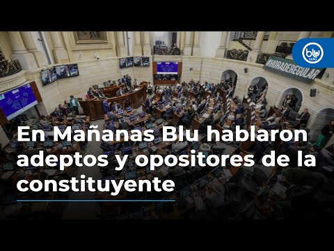 En Mañanas Blu hablaron adeptos y opositores de la constituyente