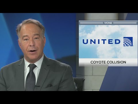 United Airlines flight returns to O’Hare after hitting coyote during takeoff