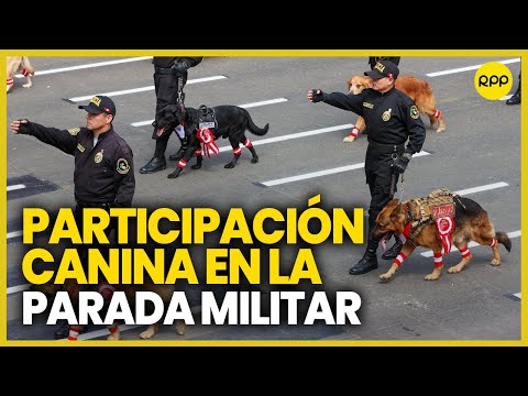Policía canina participa en la Gran Parada y Desfile Cívico Militar
