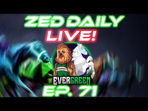 Zed Daily EP. 71 | Breeding Update Day | Zed run
