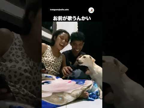 犬が歌い出す可愛らしい瞬間をご覧ください サムネイル