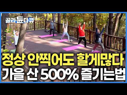 산 속에서 요가 한바탕 했더니 속이 뻥뚫린다. 정상까지 무리하게 가지않아도 할게 많아도 너무 많다는 가을 산에 갔더니｜한국기행｜#골라듄다큐