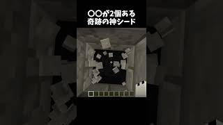 〇〇が2個ある奇跡の神シード #minecraft #shorts
