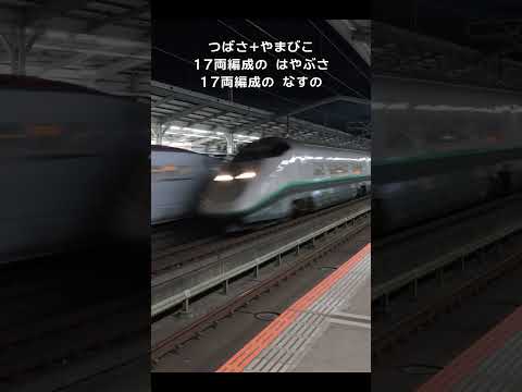 E3系(銀つば)+E5系・E5系+E6系 高速通過