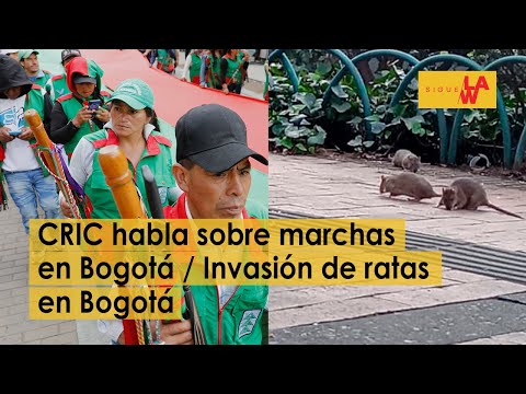 Hablan indígenas sobre críticas a su presencia en Bogotá / ¿La derecha usurpó a sindicato CGT?