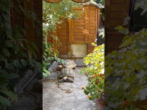 Limpieza maravillosa #limpio #limpieza #mitrabajo