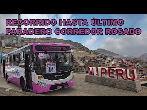 RECORRIENDO HASTA PARADERO FINAL DEL CORREDOR ROSADO EN EL DISTRITO MI PERÚ DEL CALLAO