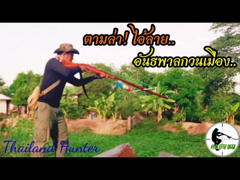 #SHOOT-FISH-ยิงปลา-ล่าไอ้ลายตา #SHOOT-FISH-ยิงปลา-ล่าไอ้ลายตา