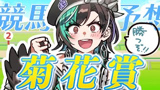 【競馬/菊花賞】スタミナ勝負!!!3000m!【#輪堂千速 / #hololivedev_is  #FLOWGLOW 】