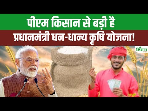 PM KISAN से कैसे अलग है PM Dhan Dhanya Yojana, जिसमें मिलेेगे एक साथ कई फायदें!। PM Kisan। PMDDY