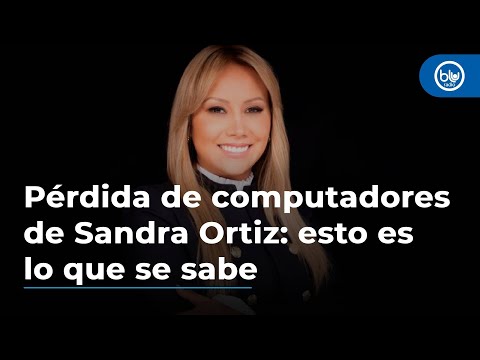 Pérdida de computadores de Sandra Ortiz: la explicación de la consejera para Regiones