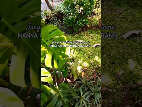 Jangan hentikan perjuanganmu hanya karena omongan orang #viral #video #viralvideo #fypシ #inspiration