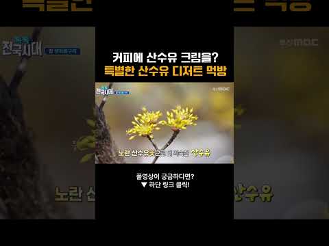 커피에 <strong>산수유</strong> 크림을 ? 특별한 <strong>산수유</strong> 디저트 먹방 #<strong>산수유</strong> #디저트 #이색음식 #먹방 #커피 #카페 #전국시대 #부산mbc