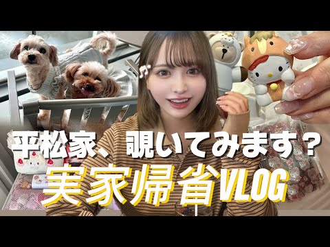 平松家、覗いてみます?【実家帰省vlog】
