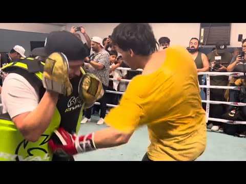 Chavez Jr DRILLS dad’s signature HOOK TO THE LIVER to CHOP DOWN Jake Paul; LOOKING STRONG in camp