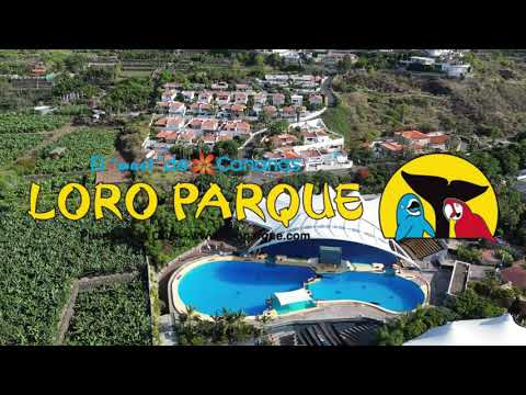 Loro Parque - Tenerife 2023