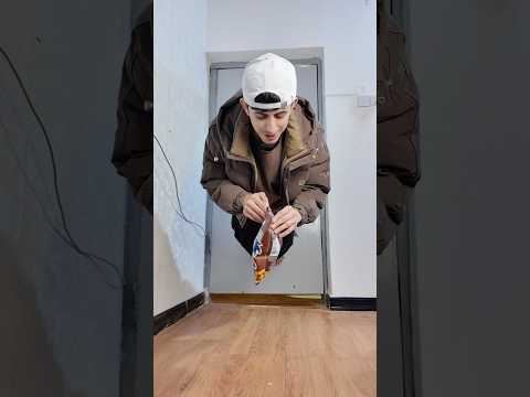 تحدي اوقف على الباب واكل😅🤷🏻‍♂️ #عباس_بيسو