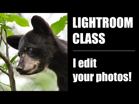 Lightroom Editing Class (I edit your photos)