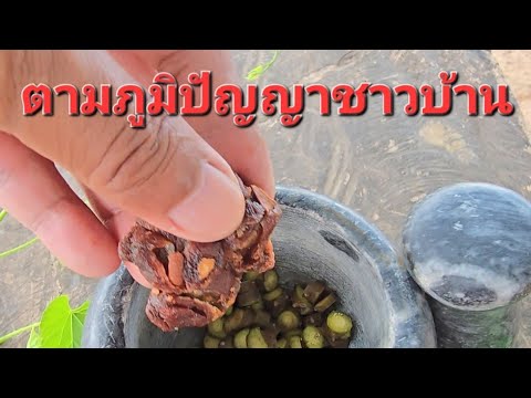 รวมคลิปอาการนี้..รีบทำของดีต