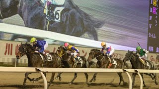 7/20 高知ファイナルで全てを取り戻す【競馬】
