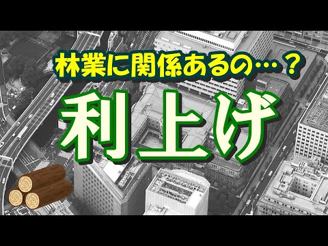 利上げは国内の木材業、林業に影響がある？