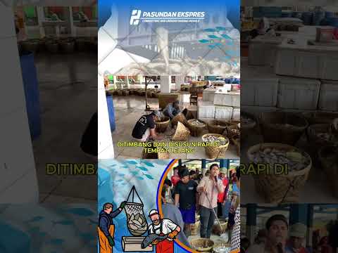 Intip Keseruan Tempat Lelang Ikan Laut di Subang #shortvideo #subang#pantura