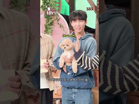 동물농장에 나타난 초특급 신인 한솔X토리🐶💕 천재견 토리의 데뷔 무대(?) 이번 주 놓치지 마세요! | TV 동물농장 | SBS