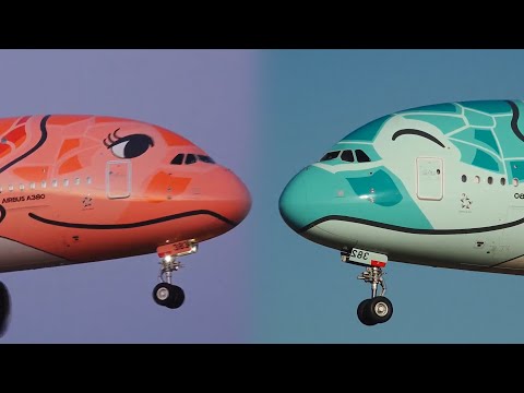 🛬 Beautiful Airbus A380 Landing at Narita Airport | FLYING HONU ✈️