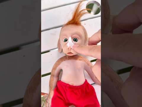 ROTINA DE PISCINA DO MACAQUINHO REBORN #shorts