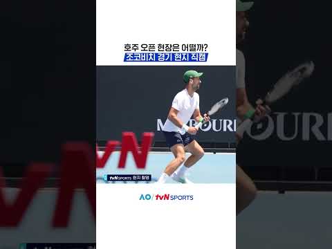 조코비치 경기 현지 직캠 #2026호주오픈