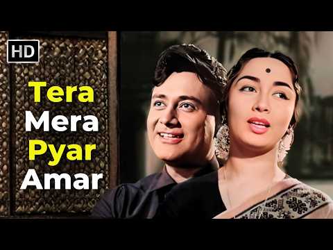 Tera Mera Pyar Amar | Asli Naqli (1962) | Dev Anand, Sadhana | Lata Mangeshkar | Retro Romantic Song