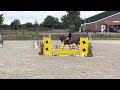 Show jumping horse Jong en braaf springmerrie met toekomst