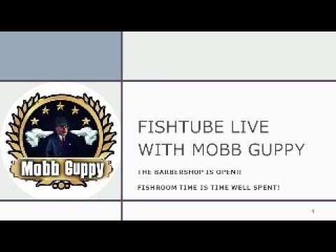 FISHTUBE LIVE_ TIME WELL SPENT!  EVERY MOMENT IN Y Mobb Guppy’s Fish Demand Views.  Please Subscribe, RING THAT BELL, Comment, Like and Share.  It’